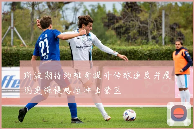斯波期待约维奇提升传球速度并展现更强侵略性冲击禁区
