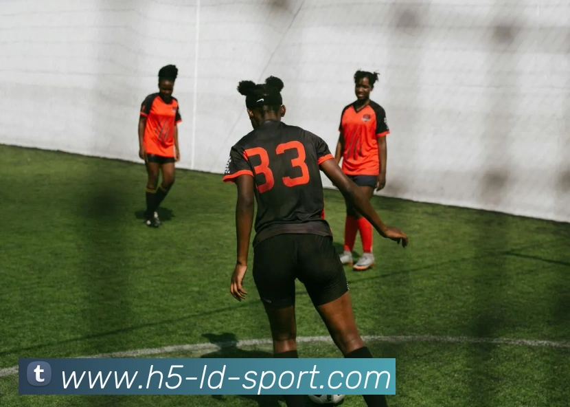 多媒体互动体验